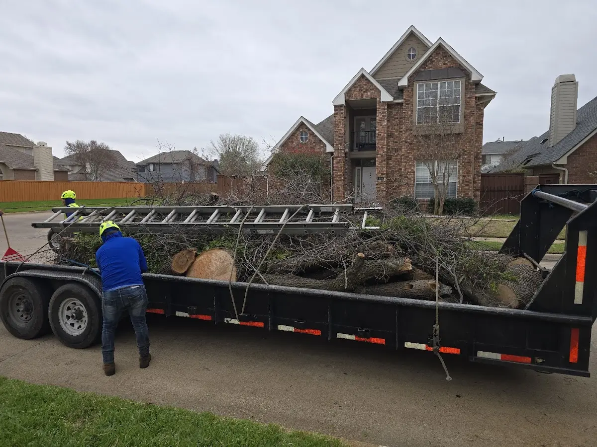 Expert Tree Fertilization with proper safety equipment in Calhoun City